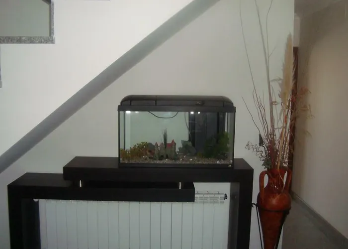 Prázdninový dům Casa Do Nascente *